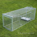 Humane Bollplapible Live Animal Trap Cage Cage Fox Traps